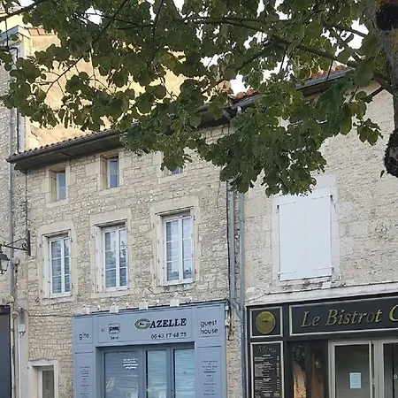 Gazelle And Art Gallery * Ruffec (Charente)