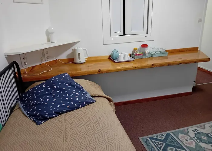 Gazelle And Art Gallery *